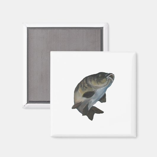 鯉 マグネット (正面/裏面)