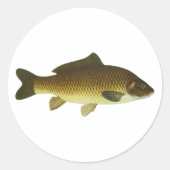 鯉 ラウンドシール (正面)