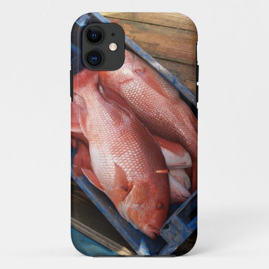 鯛iPhone 5 Case-Mate iPhoneケース (裏面)