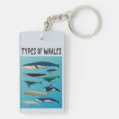鯨の種類海哺乳類 キーホルダー (裏面)
