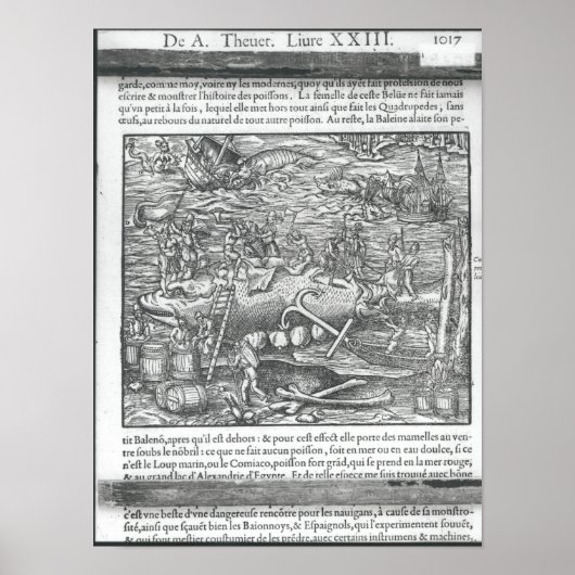 鯨の結合 ポスター (正面)