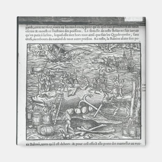 鯨の結合 マグネット (正面)