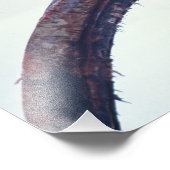 鯨の顎骨の上にホッキョクグマ フォトプリント            (角)