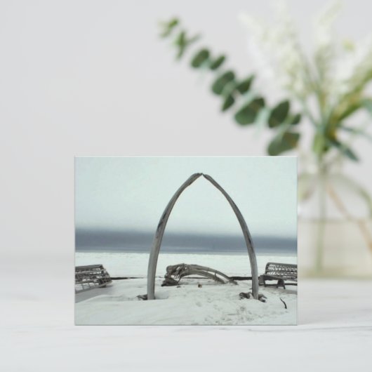 鯨の骨の肋骨の弓と床の皮の船枠 ポストカード (スタンド正面)