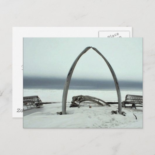 鯨の骨の肋骨の弓と床の皮の船枠 ポストカード (正面/裏面)