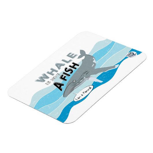 鯨は魚ではない マグネット (左側)