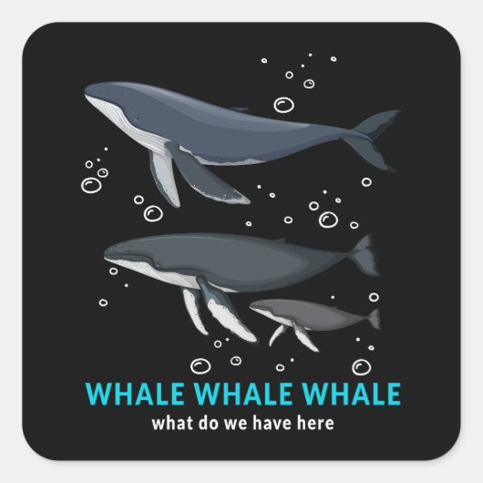 鯨クジラここで何を持っているか スクエアシール (正面)