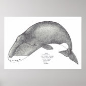 鯨歌 ポスター (正面)