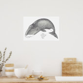 鯨歌 ポスター (キッチン)