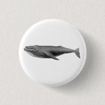 鯨海洋生物ボタン