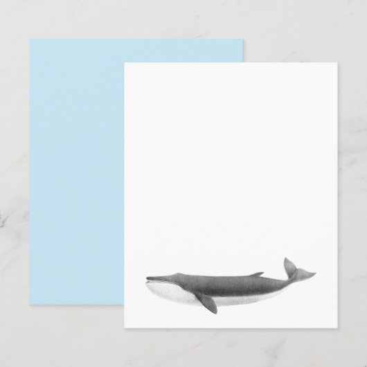 鯨紙シート (正面/裏面)