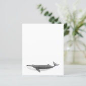 鯨紙シート (スタンド正面)