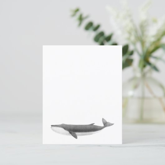 鯨紙シート (スタンド正面)