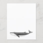 鯨紙シート (正面)