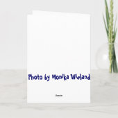 鯨終わり!おめでとうカード カード (裏面)