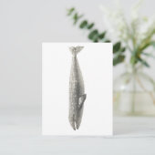 鯨製海洋生物葉書 ポストカード (スタンド正面)