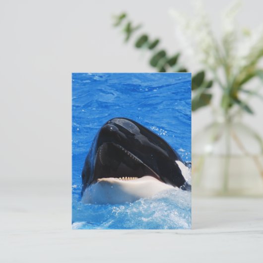 鯨音はがき ポストカード (スタンド正面)