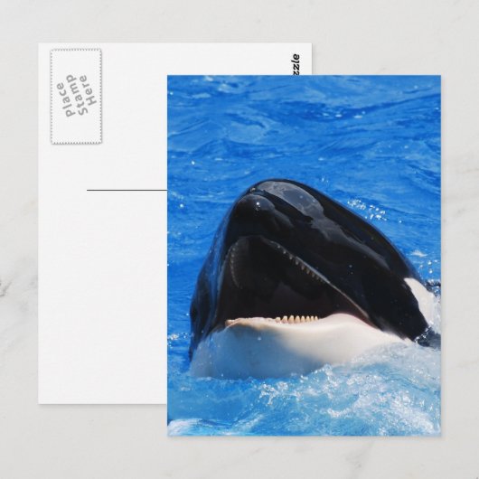 鯨音はがき ポストカード (正面/裏面)