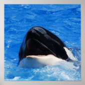 鯨音ポスター ポスター (正面)