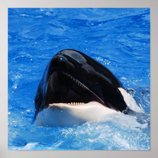 鯨音ポスター ポスター (正面)