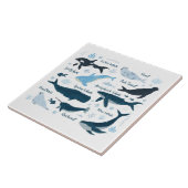 鯨類&海洋生物海グラフィックデザイン タイル (側面)