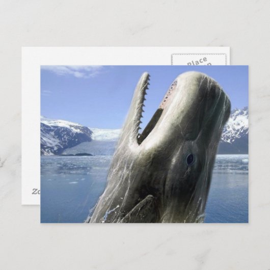 鯨 ポストカード (正面/裏面)