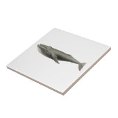 「鯨」海洋生物窯業瓦 タイル (側面)