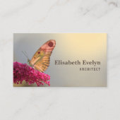 鱗翅目チョウ自然 名刺 (正面)