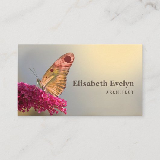 鱗翅目チョウ自然 名刺 (正面)