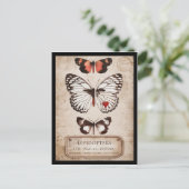 鱗翅目 ポストカード (スタンド正面)