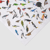 鳥おたく 薄葉紙 (詳細)