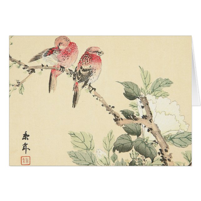 鳥および綿ばら色のImao Keinen (正面横)