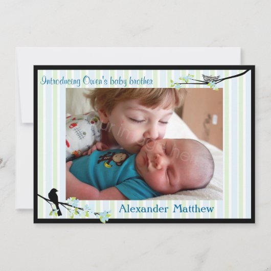 鳥および花の写真の誕生の発表の青 案内状 (正面)