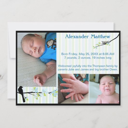 鳥および花の写真の誕生の発表の青 案内状 (裏面)