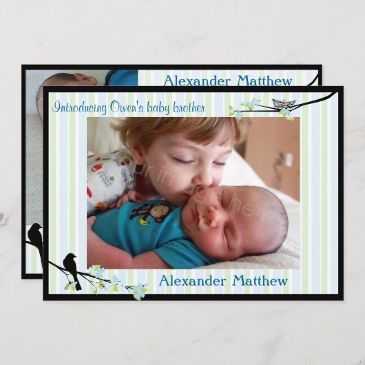 鳥および花の写真の誕生の発表の青 案内状 (正面/裏面)