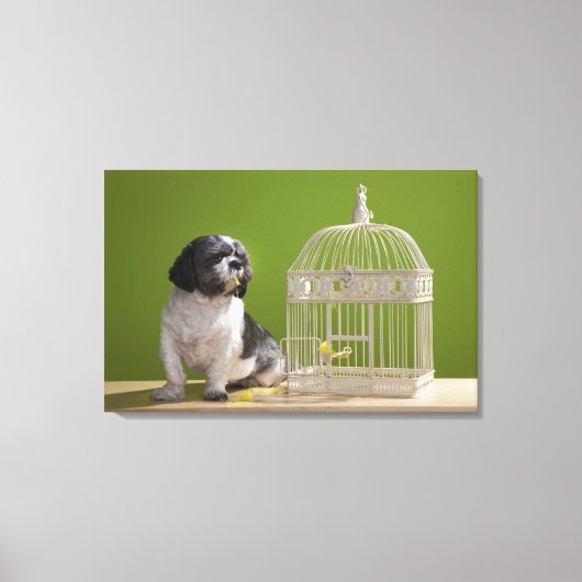 鳥かごに近い犬 キャンバスプリント (正面)
