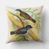 鳥かわいらしプリント クッション (裏面)