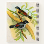 鳥かわいらしプリント ノートブック (裏面)