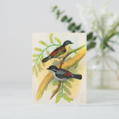 鳥かわいらしプリント ポストカード (スタンド正面)