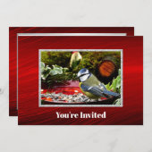 鳥かわいらし赤フィーダー松フォト誕生日 招待状 (正面/裏面)