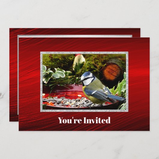 鳥かわいらし赤フィーダー松フォト誕生日 招待状 (正面/裏面)