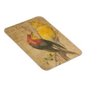 鳥かわいらし類 マグネット (右側)