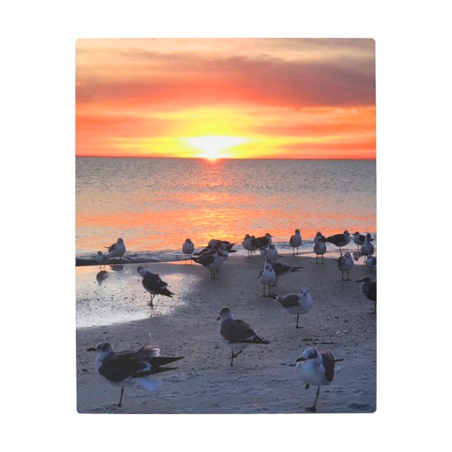 鳥が上陸する メタルプリント (正面)