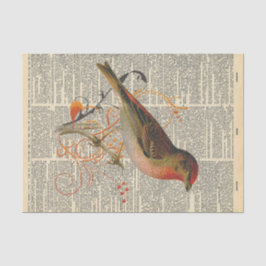 鳥が切り離されるヴィンテージ新聞 薄葉紙