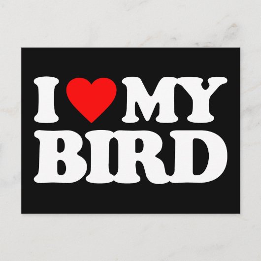 鳥が好きだ ポストカード (正面)