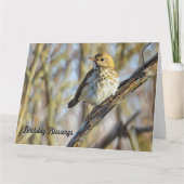 鳥が枝に止まる – 誕生日カード カード (正面)