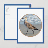鳥が海の円を渡る ポストカード (正面/裏面)