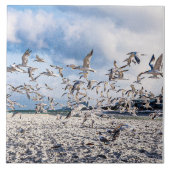 鳥が舞う タイル (正面)