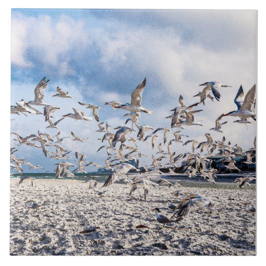 鳥が舞う タイル (正面)