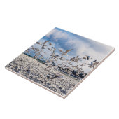 鳥が舞う タイル (側面)